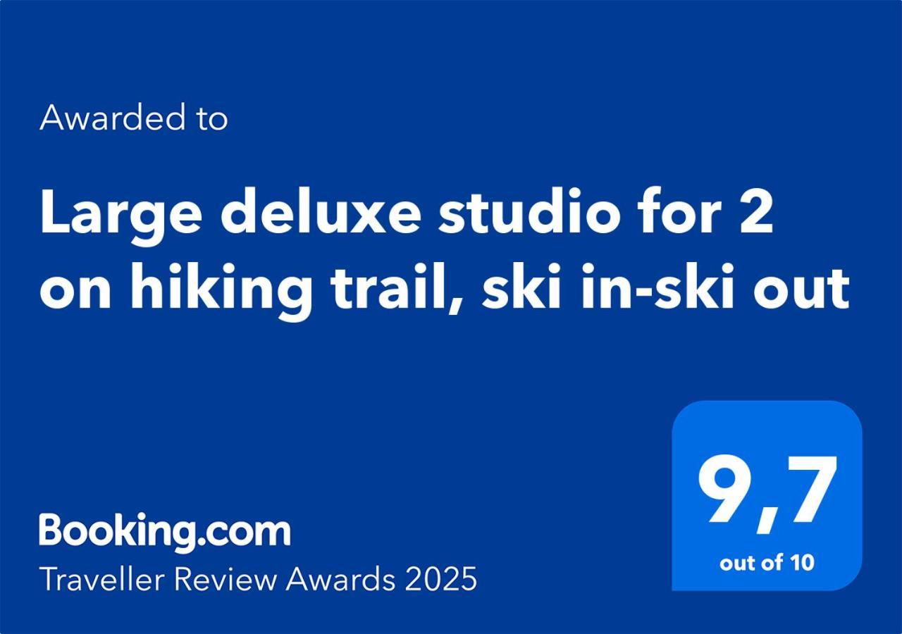 Large Deluxe Studio For 2 - Chalet Lovo 伦克 外观 照片